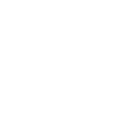 BAM Natale - grafica fiore