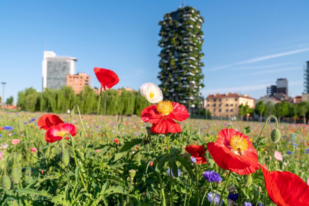 Sostieni il parco che ami. Diventa BAMFRIEND!